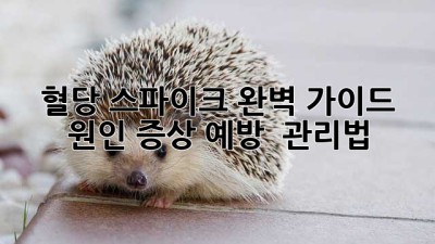 🎢 혈당 스파이크 완벽 가이드: 원인, 증상, 예방 & 관리법